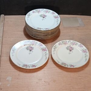 10 Vintage Lunch/Salad Plates Roses  H&C Selb Bavaria Germany